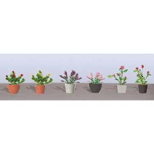 TARIFF O Flower Plants Potted Assortment #1/6pk