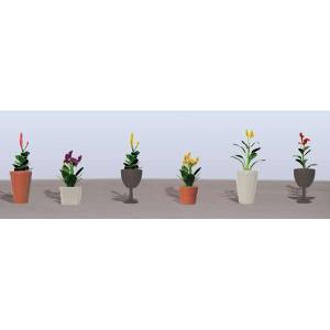 TARIFF O Flower Plants Potted Assortment #46pk