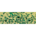 TARIFF HO Watermelon Patch/6pk