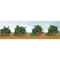 TARIFF O Strawberries/8pk