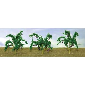 O Eggplants/6pk