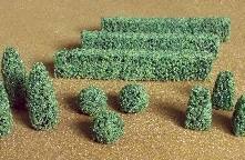 TARIFF O Boxwood Plants/15pk