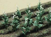 TARIFF HO Tobacco Plants/16pk