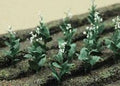 TARIFF O Tobacco Plants/10pk