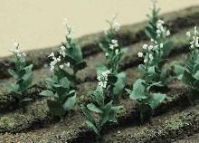 TARIFF O Tobacco Plants/10pk