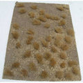 TARIFF Landscpaing Details Golden Grassland 5'' X 7'' Sheet