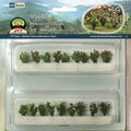 TARIFF HO Hibiscus/18pk