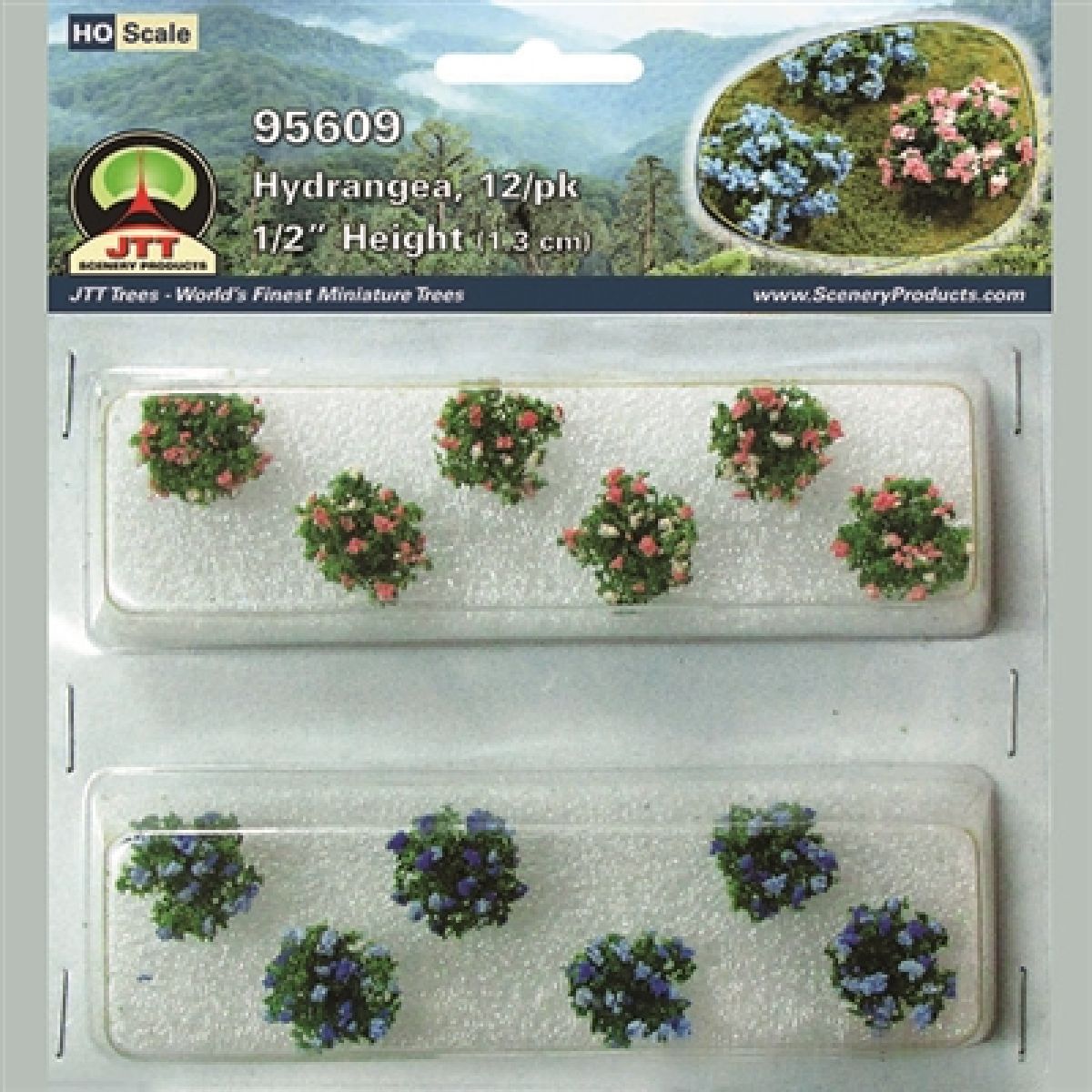 TARIFF HO Hydrangea/12pk