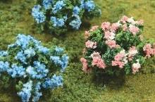 TARIFF O Hydrangea/6pk