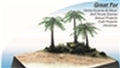 Tropical Beach Kit