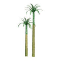 Royal Palm 6'' Pro   1/pk