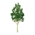 TARIFF Mountain Gum 6'' Pro/1pk