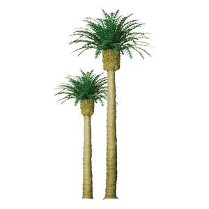 TARIFF Phoenix Palm 8'' Pro/1pk