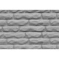 TARIFF Pattern Sheets/Dressed Stone HO (1:100)/2pk