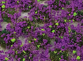 4mm Heather Static Grass Tufts x 100
