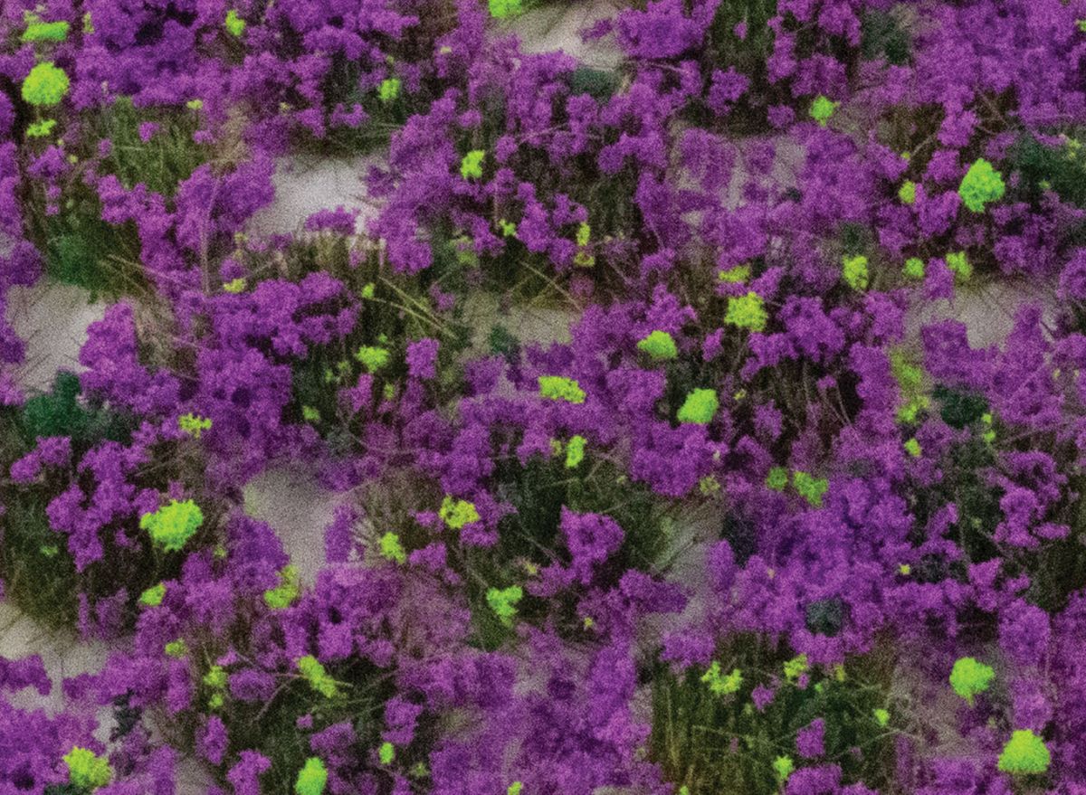 6mm Heather Static Grass Tufts x 100