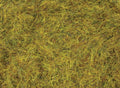 Refill for 500ml canister 4mm Wild Meadow 50g