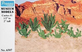 Cactus 1