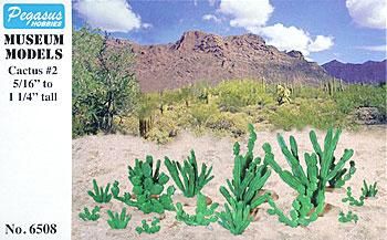 Cactus 2