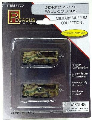 Sd.Kfz.251/1 Fall Colors (2)