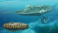 The Nautilus and Squid