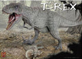 Tyranasaurous Rex