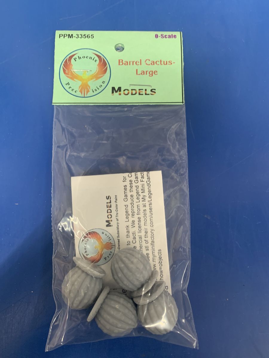 O Barrel Cacti-Large (4)
