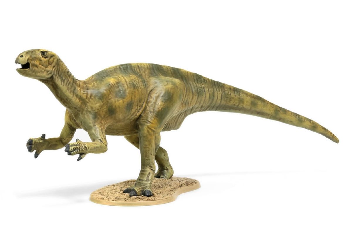 Fukuisaurus (CLIC LOC)