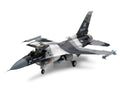 F-16C/N Aggressor/Adversary
