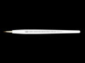 Modeling Pointed Brush PRO II Extra Fine