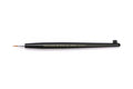 Modeling Pointed Brush HG II Fine
