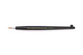 Modeling Pointed Brush HG II Small