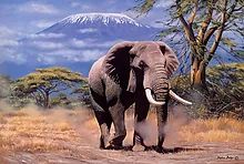 Elephant In Amboseli Puzzle