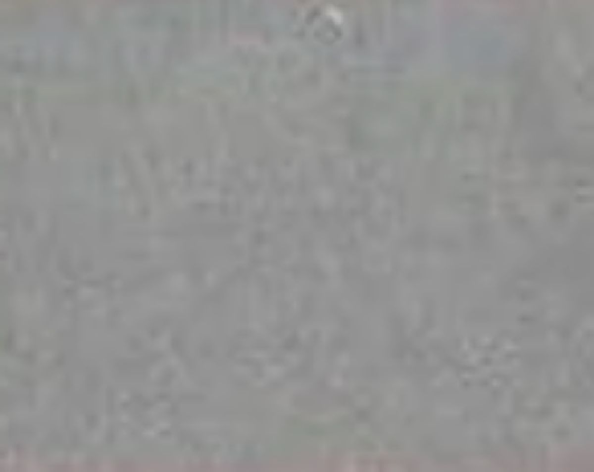RN-507C Light Gray 1oz