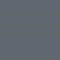 CSX Y2K Gray 1oz