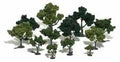 Tree Kit 3/4''-3'' Green Deciduous