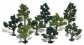 Tree Kit 3''-5'' Green Deciduous