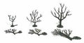 Tree Armatures 2''-3'' Deciduous