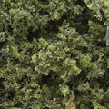 Fine-Leaf Foliage/Light Green