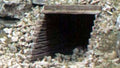 N Timber Culverts/2pk