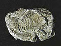 Wind Rock rock mold 5x7