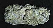 Washed Rock rock mold 10.5x5