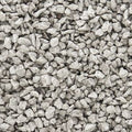 Talus/Fine Gray