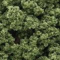 Underbrush Foliage/Light Green