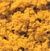 Shaker Turf/Fall Yellow coarse