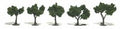 Trees 1 1/4''-2'' Medium Green