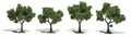 Trees 2''-3'' Light Green