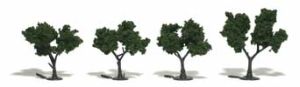 Trees 2''-3'' Medium Green