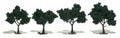 Trees 2''-3'' Dark Green