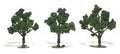 Trees 3''-4'' Medium Green